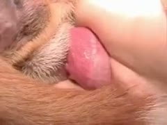 A calm college student has a crazy moment as she feels the largest dog knotting in her juicy fuckhole.